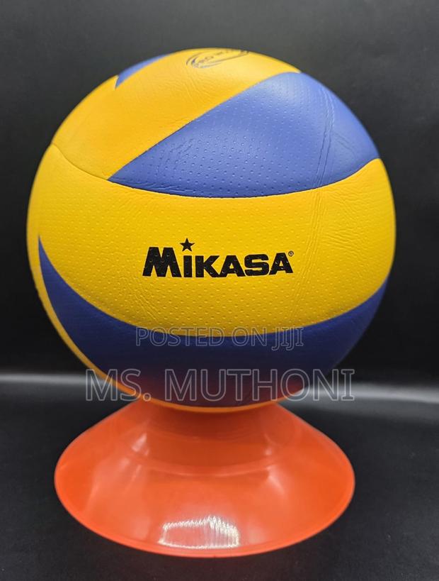 Size 5 Mikasa V300w Indoor Volleyball,