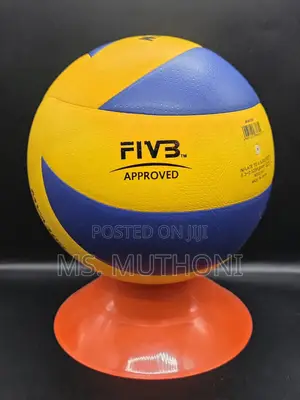 Size 5 Mikasa V300w Indoor Volleyball,