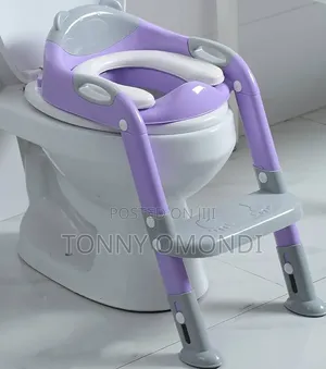 Toilet Ladder