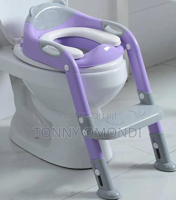 Toilet Ladder