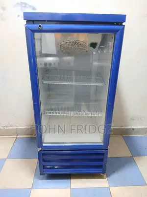 Commercial Display Fridge/Freezer – 210l