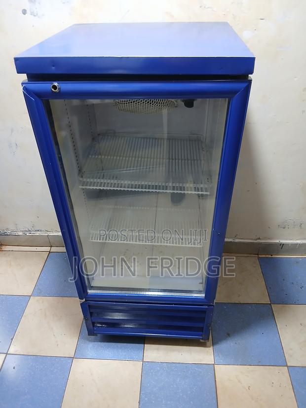Commercial Display Fridge/Freezer – 210l - thumbnail 4