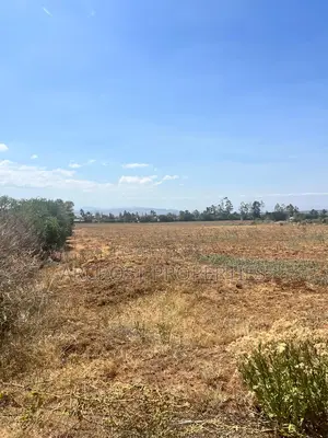 50 Acres for Sale Near Meru–Nanyuki–Isiolo Junction