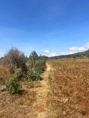 50 Acres for Sale Near Meru–Nanyuki–Isiolo Junction