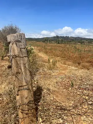 50 Acres for Sale Near Meru–Nanyuki–Isiolo Junction