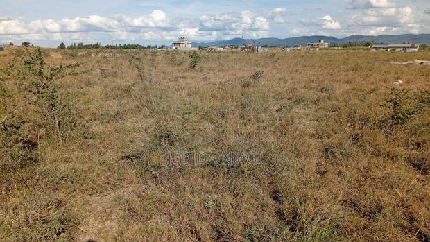 Prime 50x100 Plot For Sale In Kantafu Near Market - Ready Title