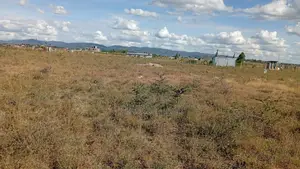 Prime 50x100 Plot For Sale In Kantafu Near Market - Ready Title