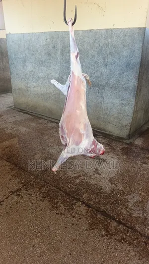 Ukambani Galla Goat Meats