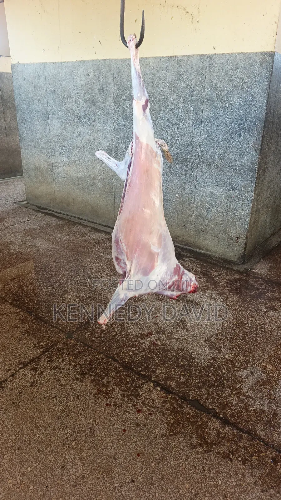 Ukambani Galla Goat Meats