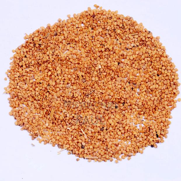 Ashwagandha Seeds