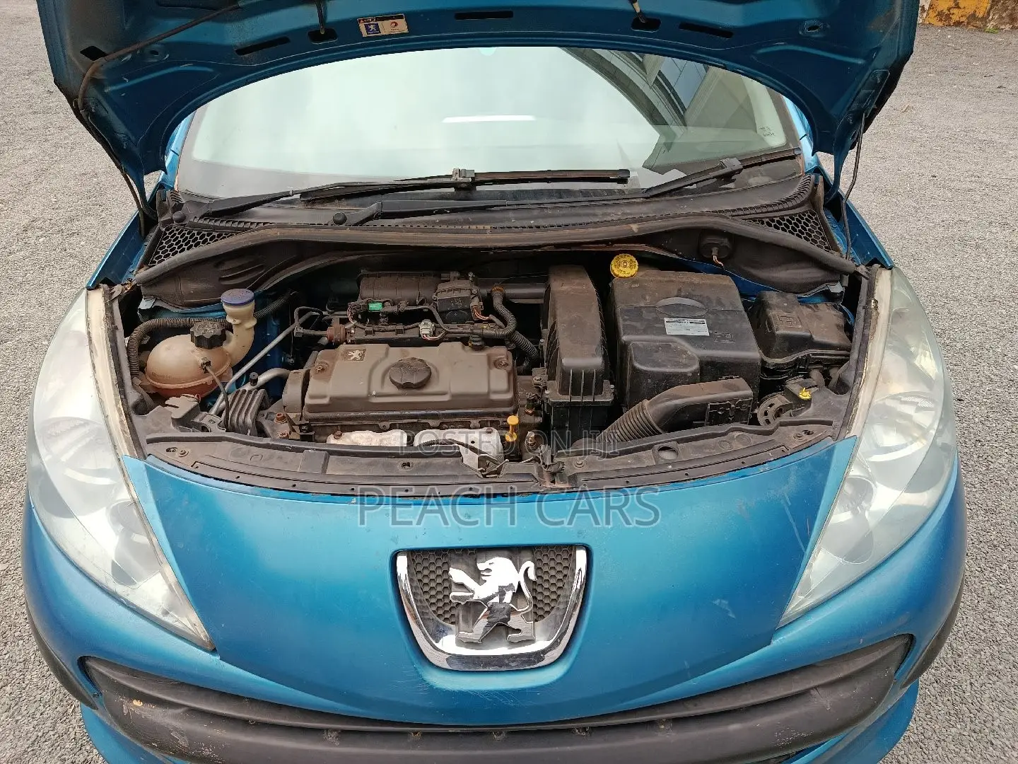 Peugeot 207 2007 Blue