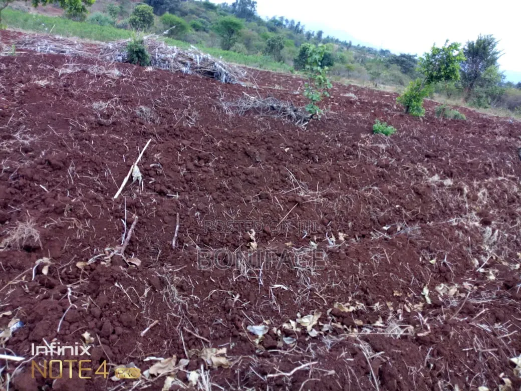 3 Acres With B/Hole at Mwea Pi (Wamûmû) Along Makutano-Embu H/Way