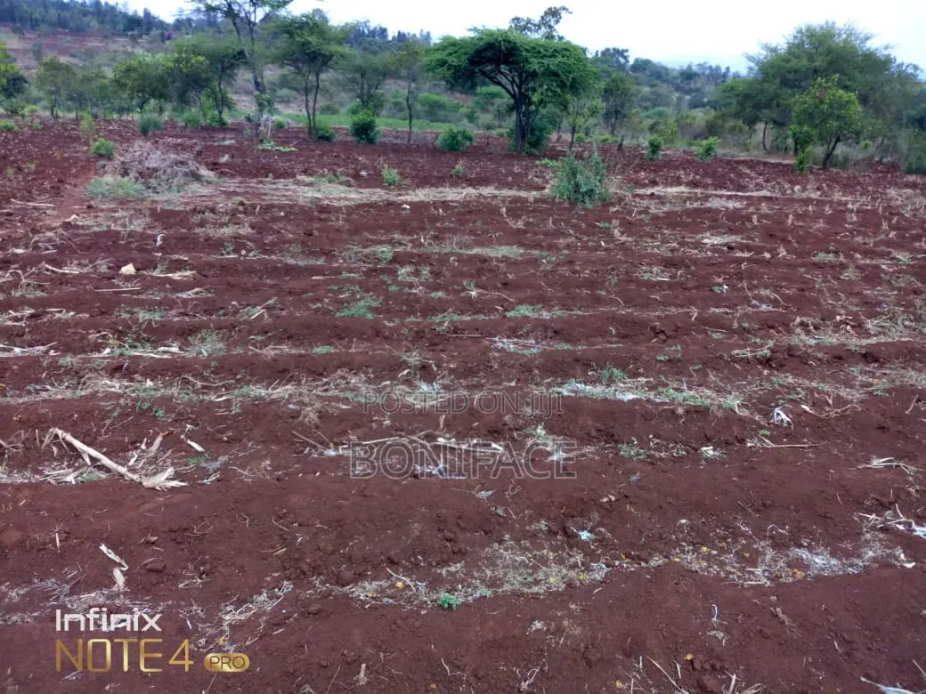 3 Acres With B/Hole at Mwea Pi (Wamûmû) Along Makutano-Embu H/Way