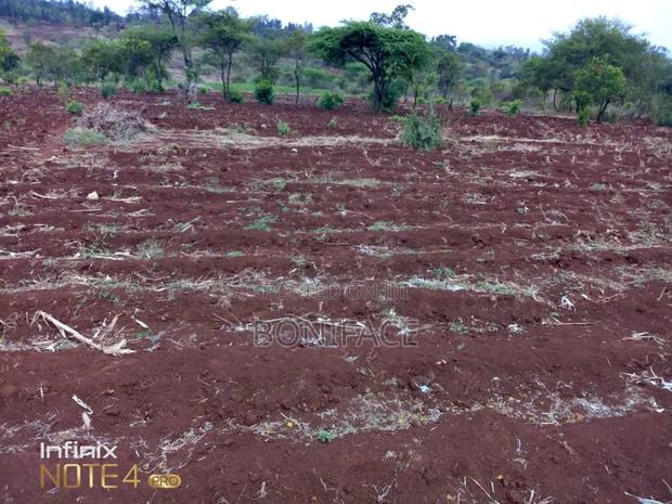 3 Acres With B/Hole - thumbnail 6