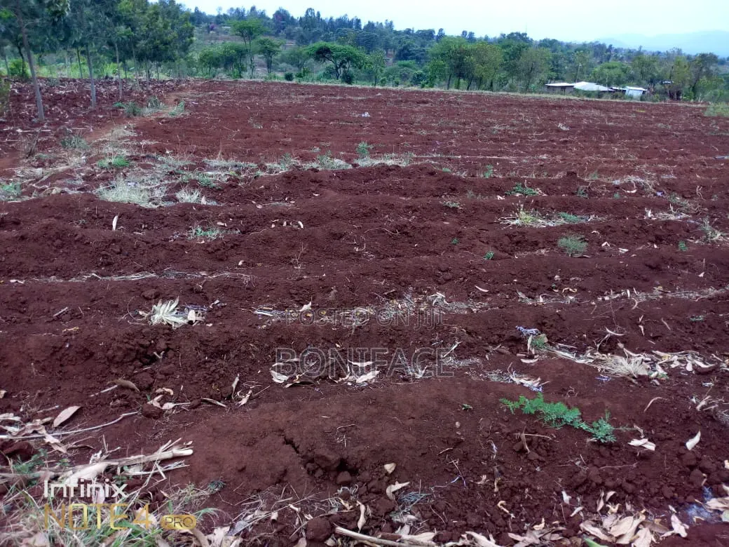 3 Acres With B/Hole at Mwea Pi (Wamûmû) Along Makutano-Embu H/Way