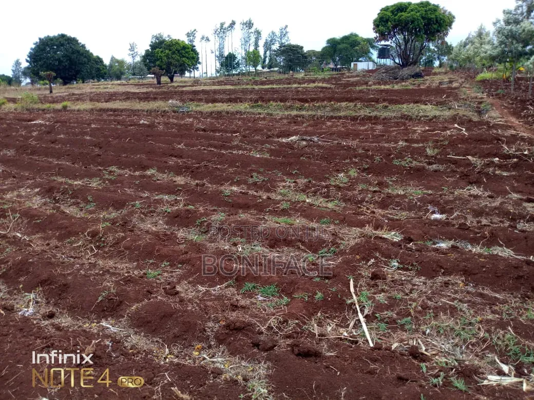 3 Acres With B/Hole at Mwea Pi (Wamûmû) Along Makutano-Embu H/Way