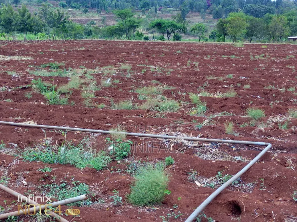 3 Acres With B/Hole at Mwea Pi (Wamûmû) Along Makutano-Embu H/Way