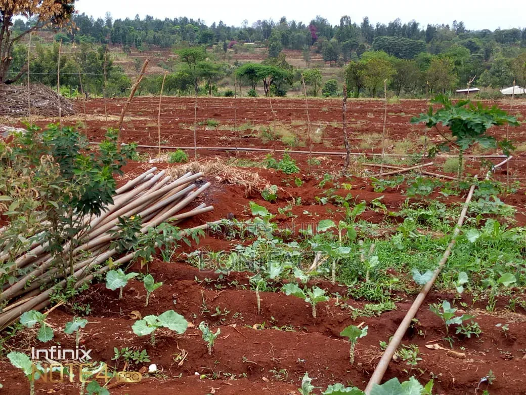 3 Acres With B/Hole at Mwea Pi (Wamûmû) Along Makutano-Embu H/Way