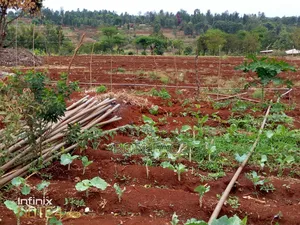 3 Acres With B/Hole at Mwea Pi (Wamûmû) Along Makutano-Embu H/Way