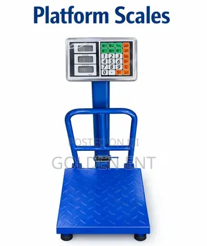 Platform Scale 100kg/Quality Platform Scale