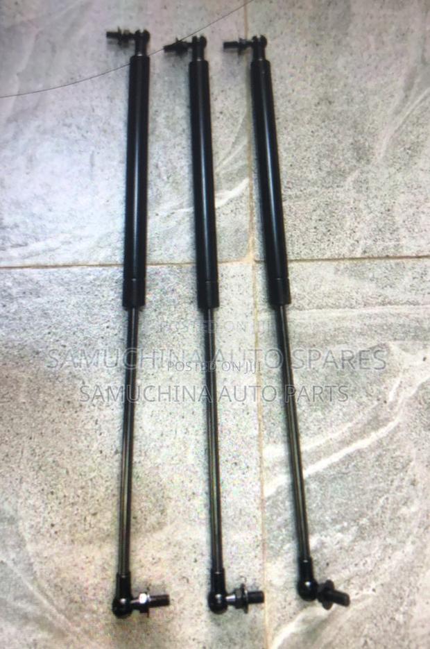 Bonnet Shock Land Cruiser Prado 120
