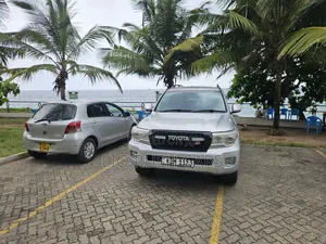 Toyota Land Cruiser 2010 Silver