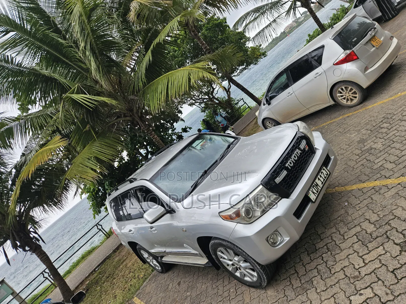 Toyota Land Cruiser 2010 Silver
