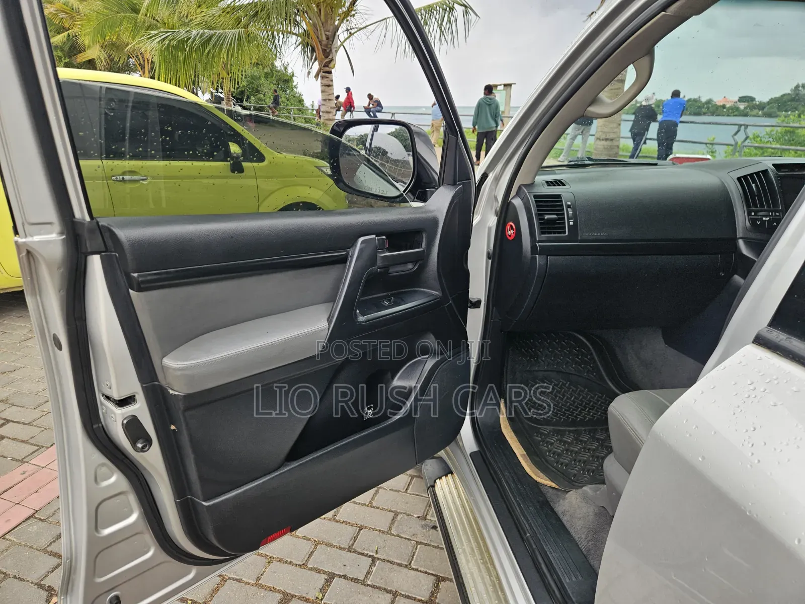 Toyota Land Cruiser 2010 Silver