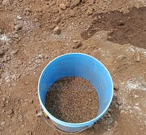 Sun Hemp Seeds