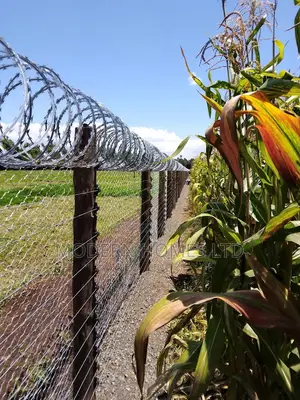 Premium Electric Fence Installation With Razor Wire Fence
