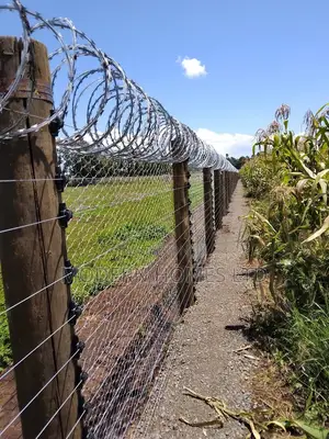 Premium Electric Fence Installation With Razor Wire Fence