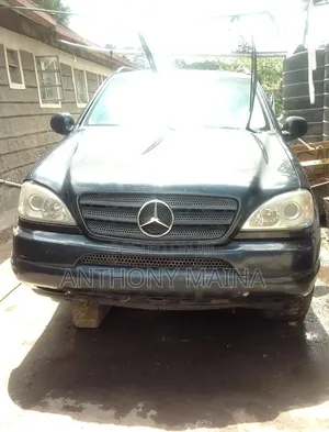 Mercedes-Benz M Class 1999 Blue