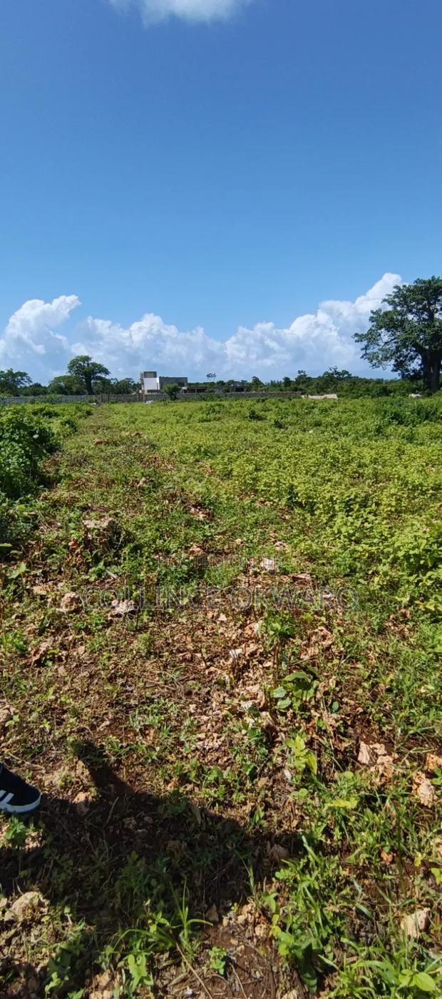 Galu Diani - thumbnail 3
