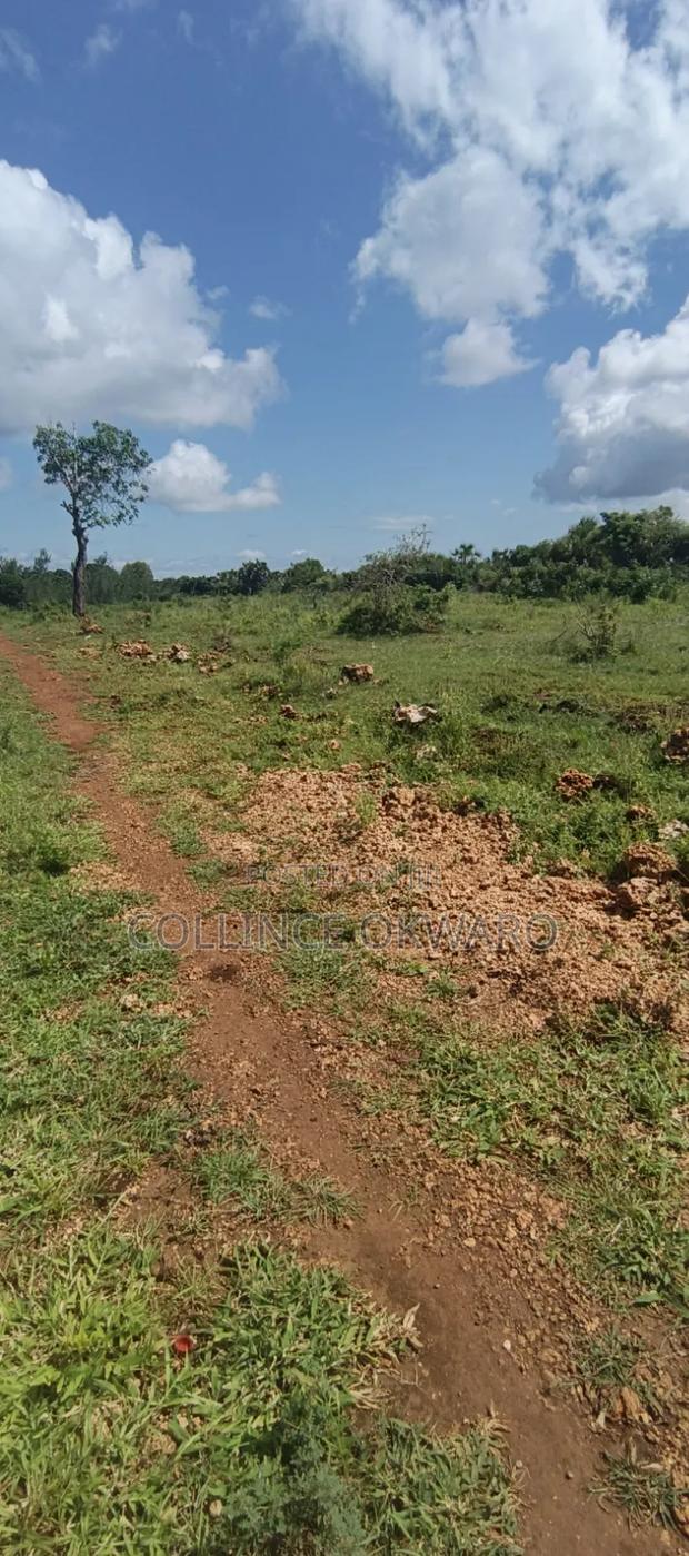 Galu Diani - thumbnail 8
