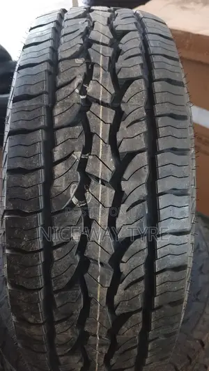 255/70r16 Dunlop
