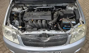 Toyota Corolla Fielder 2005 Silver