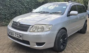 Toyota Corolla Fielder 2005 Silver