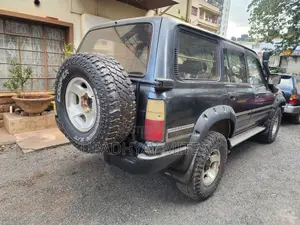 Toyota Land Cruiser 1995 Blue