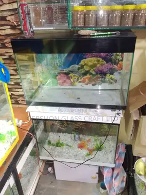 Modern Aquarium Fish Tank