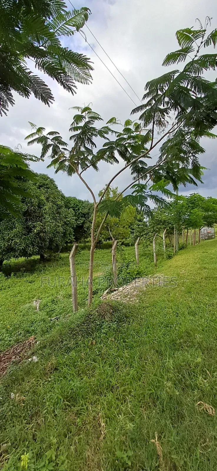 For Sale Two Acre Land Mtwapa