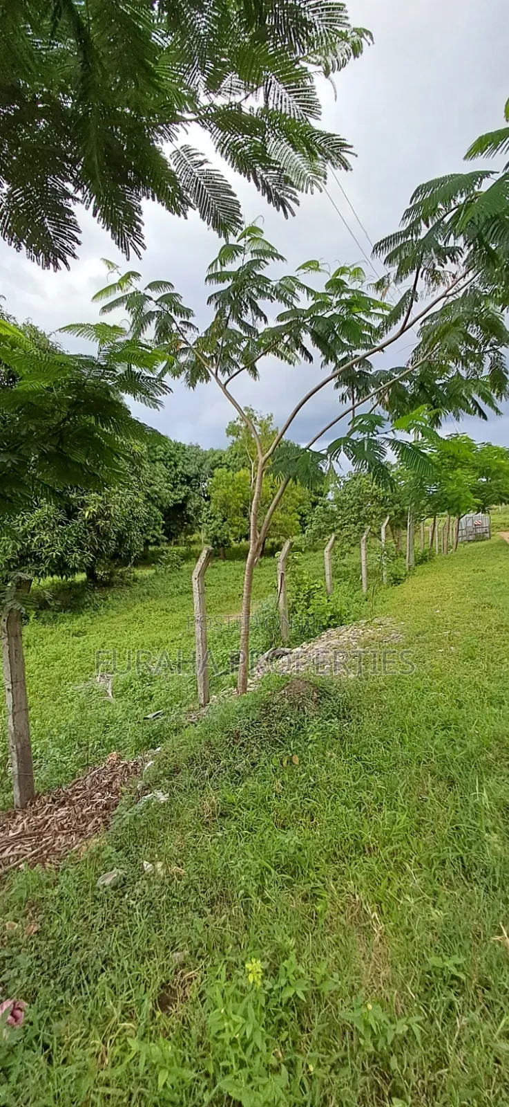 For Sale Two Acre Land Mtwapa