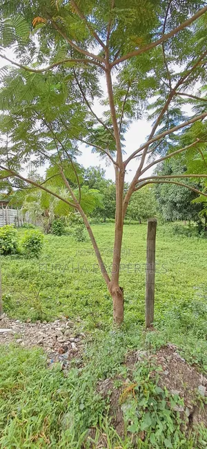 For Sale Two Acre Land Mtwapa