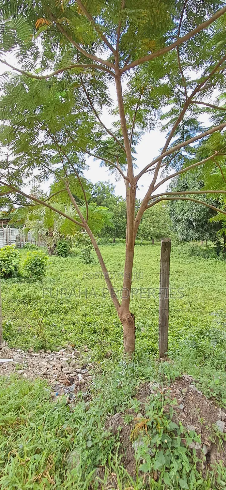 For Sale Two Acre Land Mtwapa