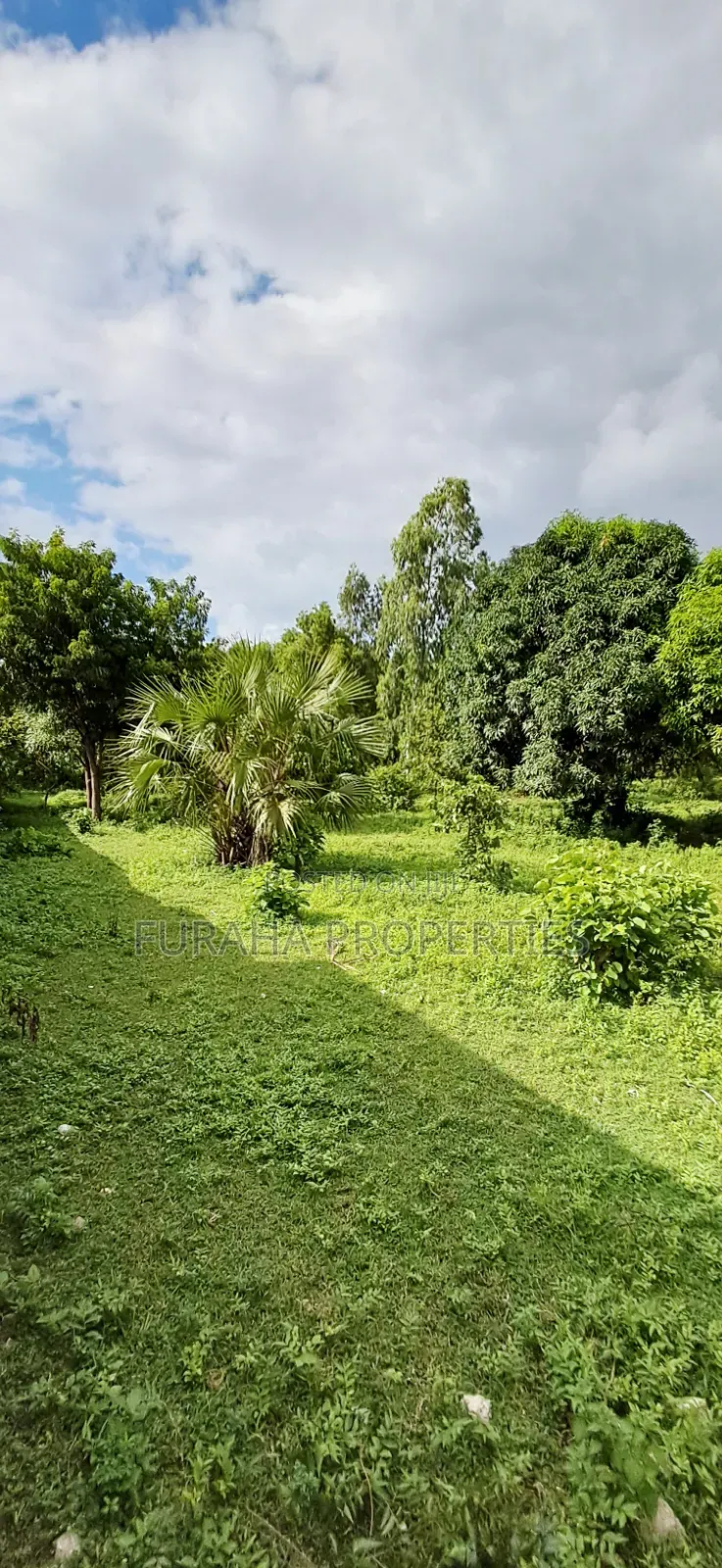 For Sale Two Acre Land Mtwapa