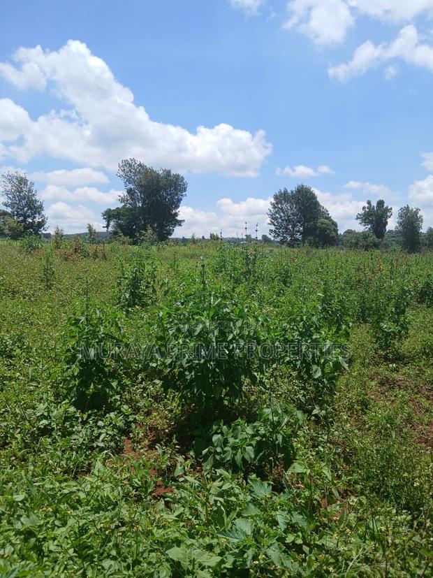 Kerarapon Area.This Beautiful 1-Acre - thumbnail 2