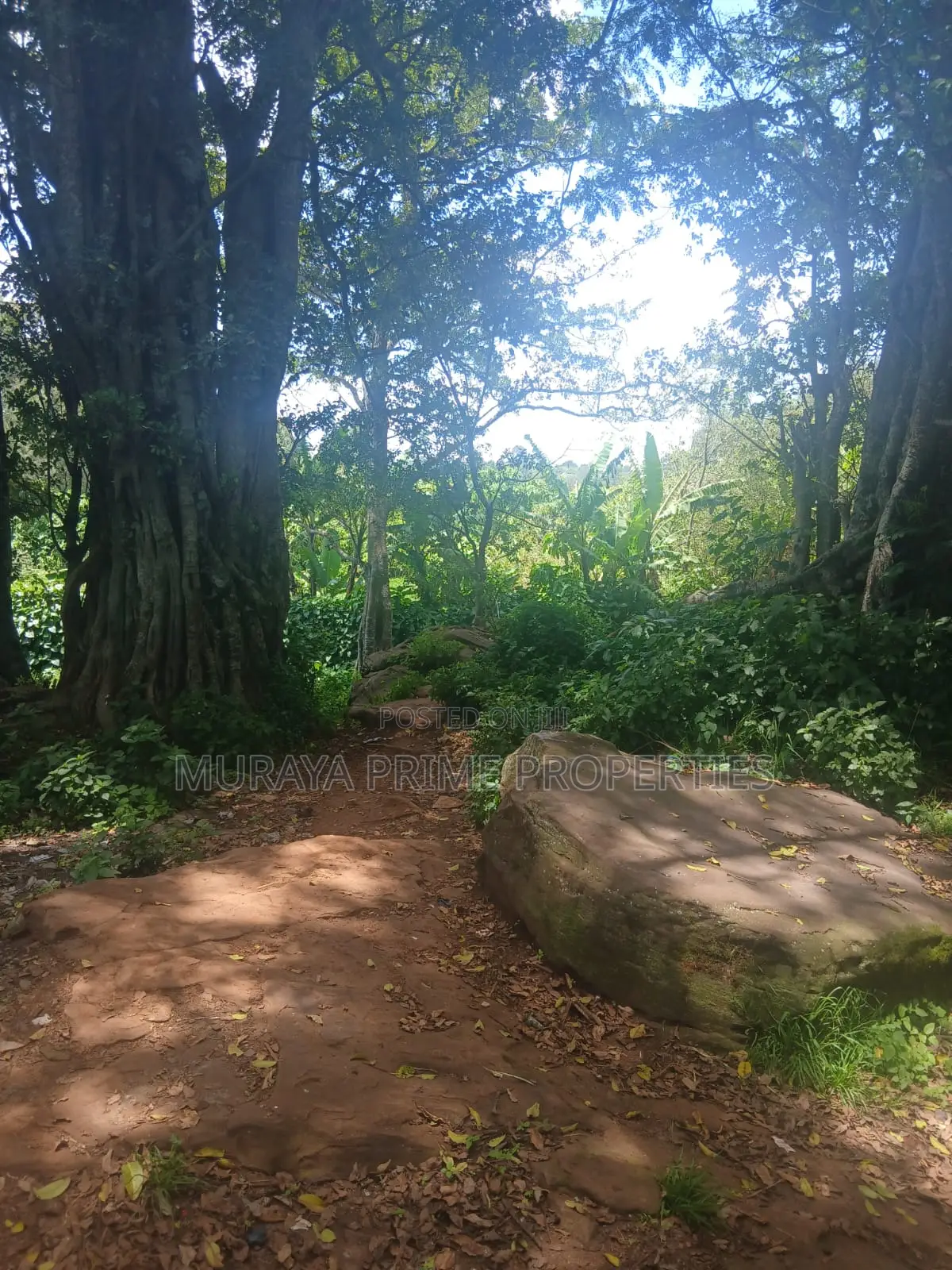 Kerarapon Area.This Beautiful 1-Acre