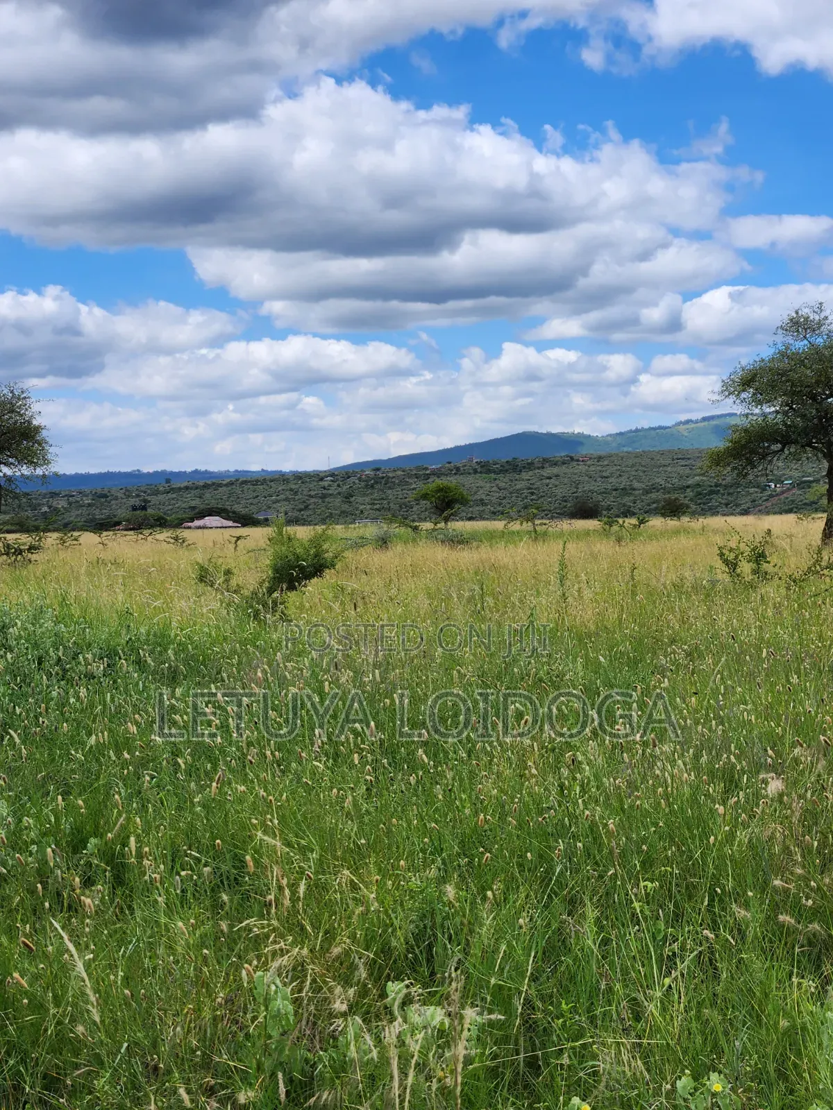 Ngong-Kimuka, Prime 5 Acres