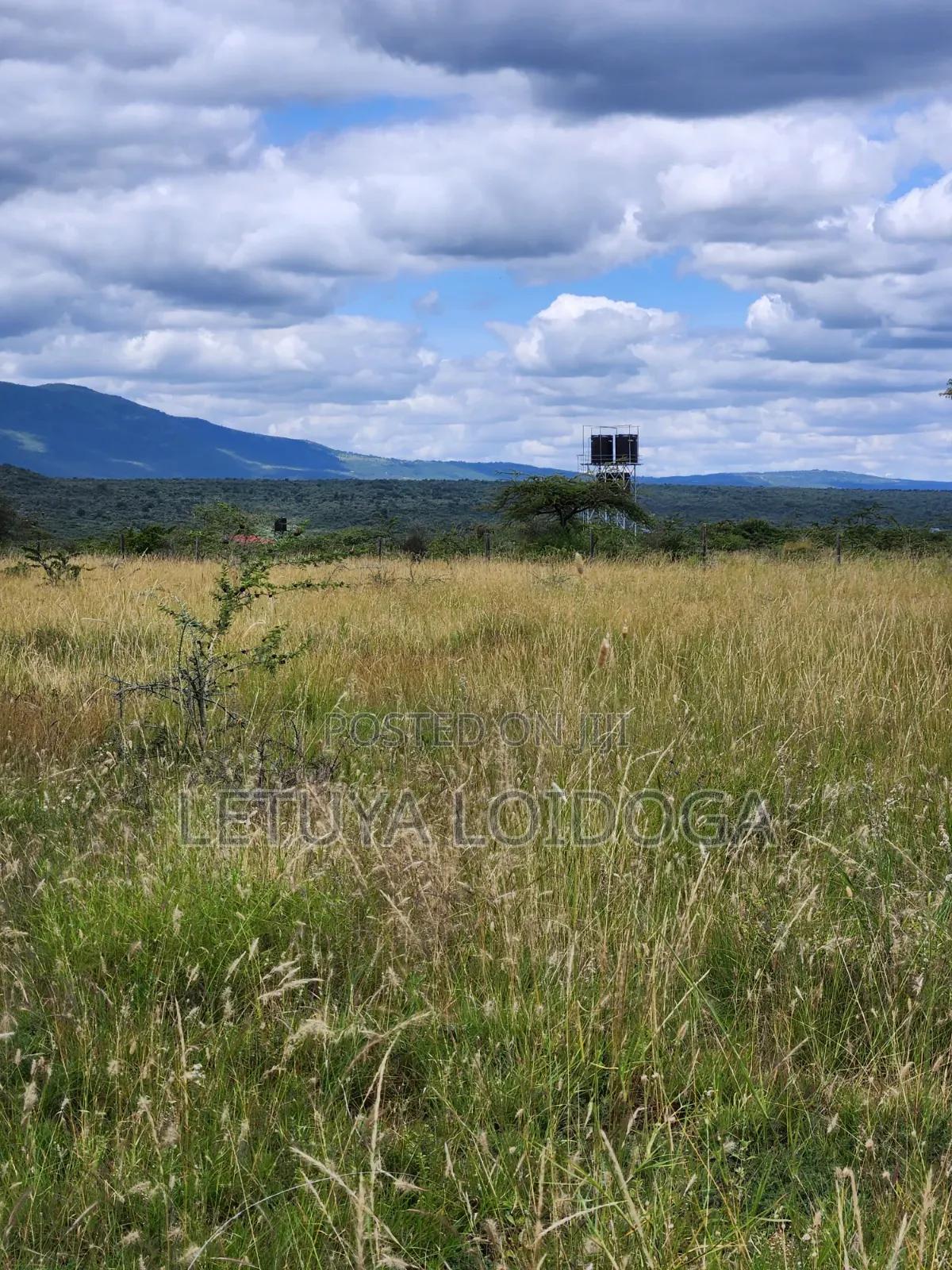 Ngong-Kimuka, Prime 5 Acres