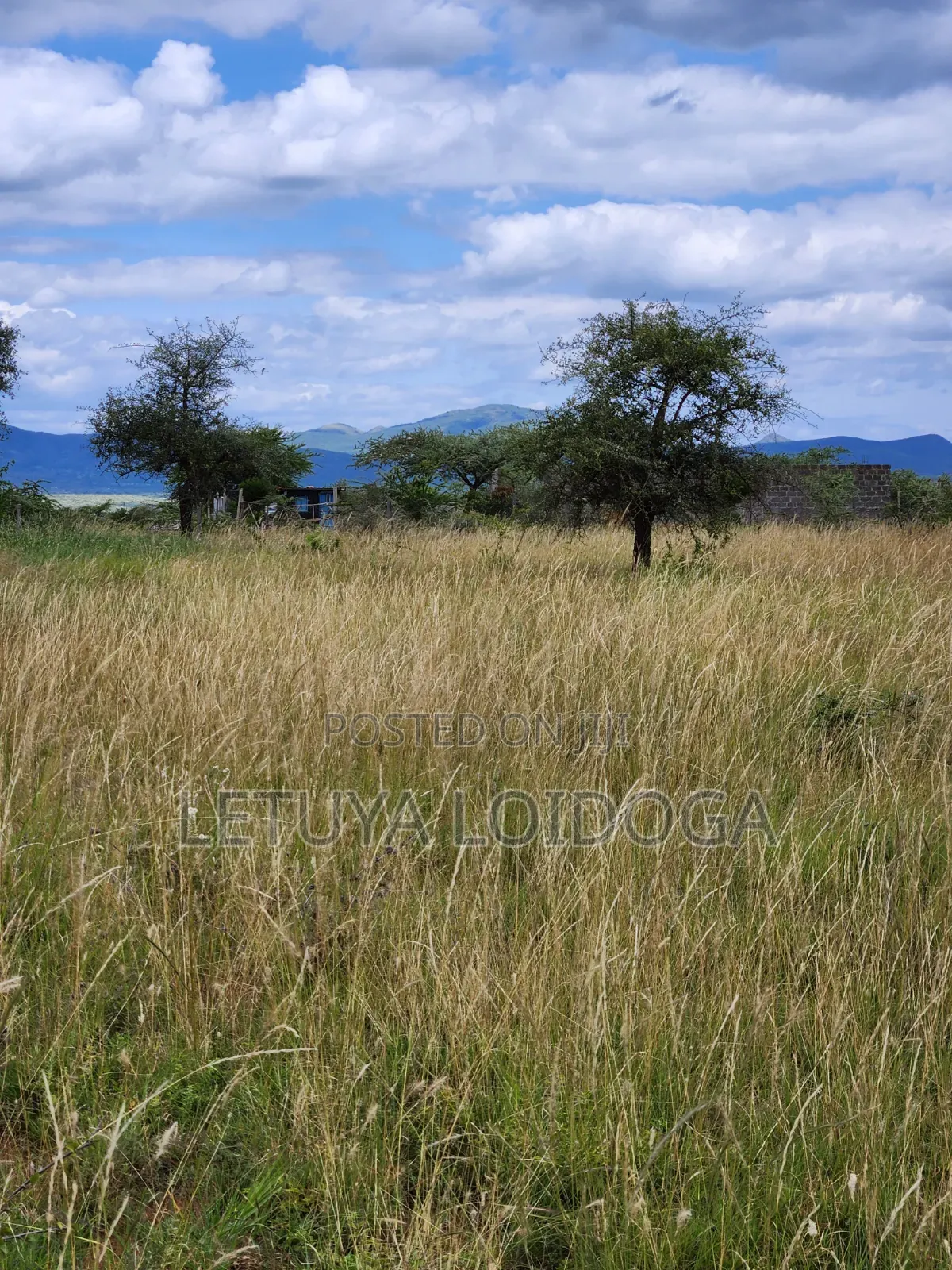 Ngong-Kimuka, Prime 5 Acres