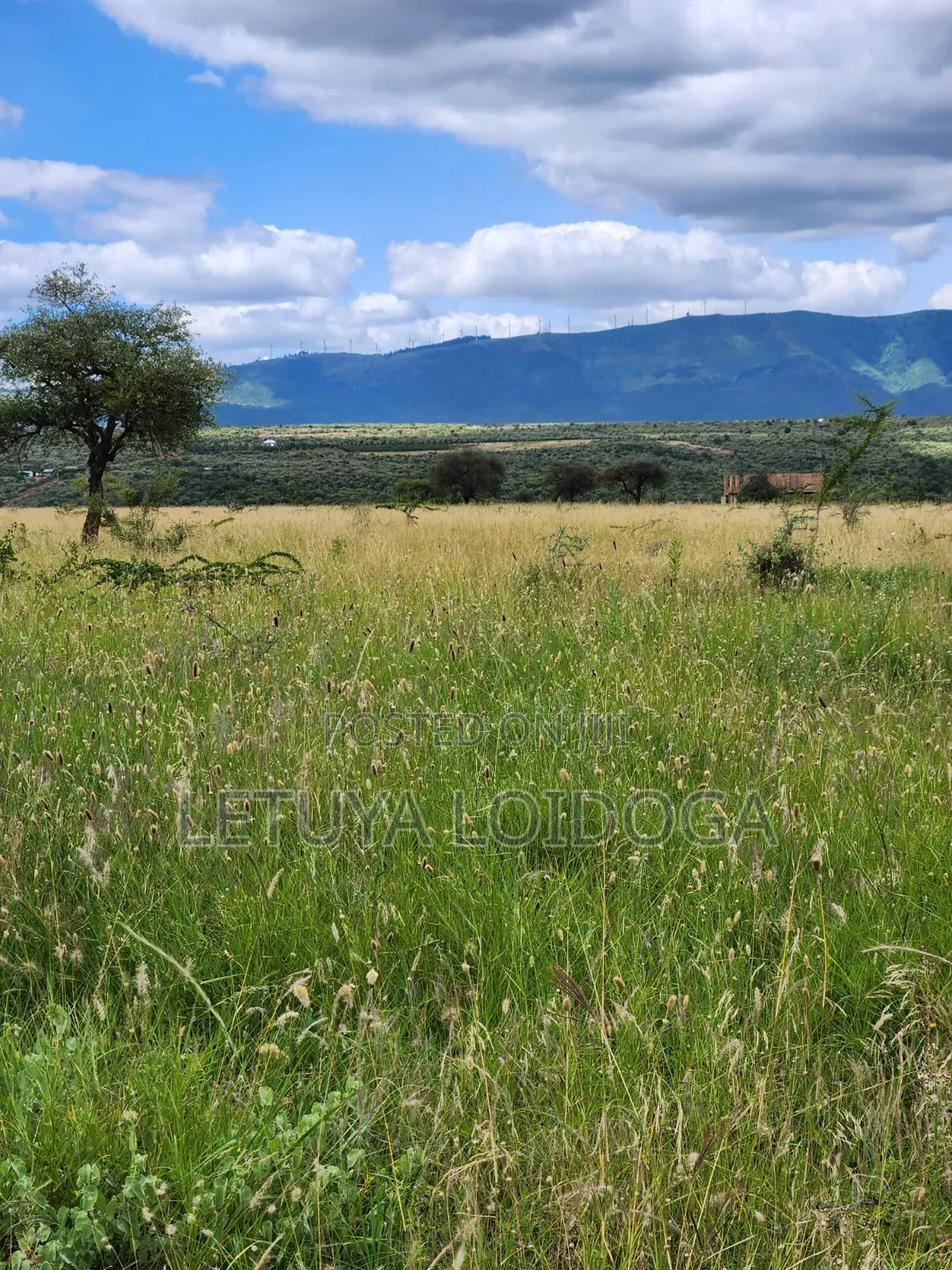 Ngong-Kimuka, Prime 5 Acres